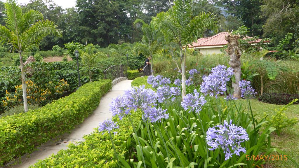 Hotel Boutique La Casona Del Cafetal Cachí Dış mekan fotoğraf